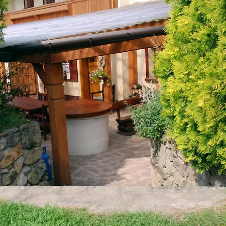 Jaskolka Konukevi Debowy Gaj